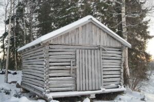 Vanha harmaantunut lato talvella metsän laidassa